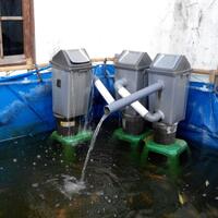 cara-budidaya-ikan-nila-yang-baik