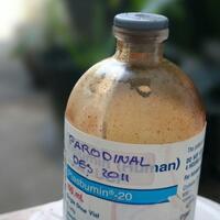 diskusi-kamar-gelap-film-bw---part-2