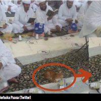 kucing-ini-hadiri-dan-tunggu-buka-puasa-di-masjid