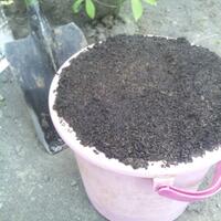 kampung-anggur----part-3