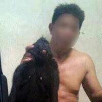 tangkap-monyet-langka-lalu-pajang-di-facebook-profesor-dipolisikan-bksda