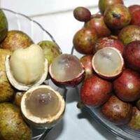 yang-jago-main-plesetan-masuk-sini-gan