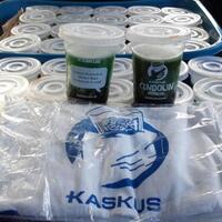fr-kaskus-cendolin-indonesia-with-reg-karesidenan-madiun