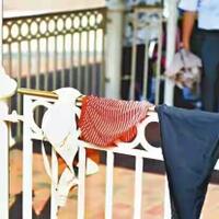 turis-tiongkok-jemur-pakaian-dalam-di-disneyland-hong-kong