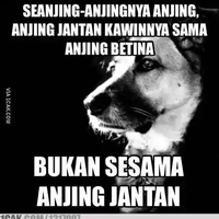 basmi-maho-mui-keluarkan-fatwa-hukuman-mati-bagi-kaum-homoseksual