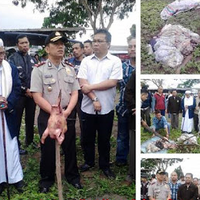 biadab-kepala-babi-dipasang-di-lokasi-pembangunan-masjid-di-bitung-sulut