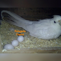 post-image