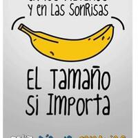 download---tanya-fonts-here---part-2