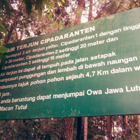 yang-suka-travelling-masuk-air-terjun-indonesia-yang-jarang-dikunjungi-orang