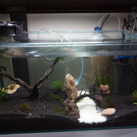 aquascape-for-everyone-learning-and-sharing---part-2