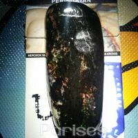 bob-black-opal-banten-atau-kalimaya-nyok-bobers