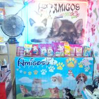 amigos-petshop-makassar---petshop-terlengkap-dan-terpercaya