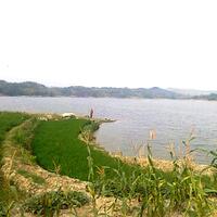 post-image