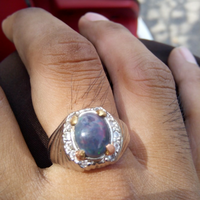 bob-black-opal-banten-atau-kalimaya-nyok-bobers