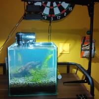aquascape-for-everyone-learning-and-sharing---part-2