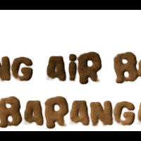 ortu-mengizinkan-2-anak-buang-air-besar-di-kabin-pesawat