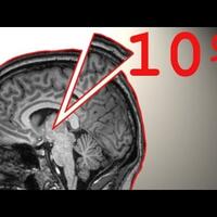 manusia-baru-make-10-otaknya-gimana-kalo-100