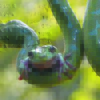 post-image