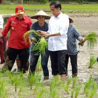 sang-cahaya-asia-jokowi-tak-ingin-didikte-negara-lain-untuk-tekan-impor-pangan