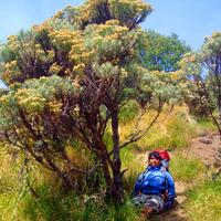 96589658-buku-tamu-oanc--isi-dulu-identitasnya-disini-96689668