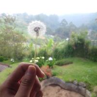 blackberry-q20-classic-official-thread---read-page-one-first