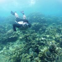 komunitas-freedive-di-indonesia