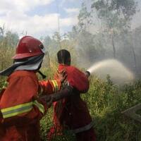job-presiden-presiden-jokowi-tinjau-langsung-penanganan-kebakaran-lahan-di-sumsel
