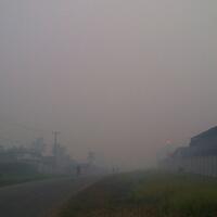 kabut-asap-di-jambi-sudah-berbahaya-pemerintah-daerah-hanya-diam