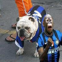 spectre-soccer-room-2015-2016------part-3