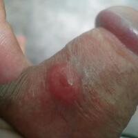 surat-terbuka-utk-roy-widya-cv-blackpanda-corpindo