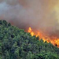 kebakaran-hutan-dan-lahan--titik-api-bukan-di-areal-lahan-perusahaan