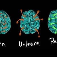 the-unlearn