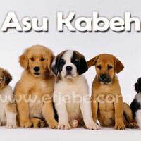 ekonomi-serba-sulit-tunjangan-anggota-dpr-malah-naik