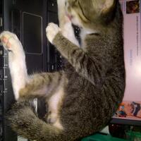 welcome-to-my-noteblog