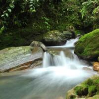 15-curug-air-terjun-di-bogor-dan-sekitarnya