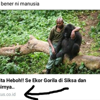 hati-hati-gan-kaskus-palsu-sudah-sebar-spam