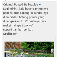 kampung-anggur----part-3