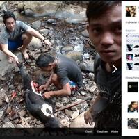 potong-korban-anti-mainstream--bukan-kambing-lagi-yg-dipotong