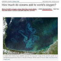 singapur-kecam-jk-soal-omongan-mestinya-singapur-terimakasi-dah-dikasi-oksigen