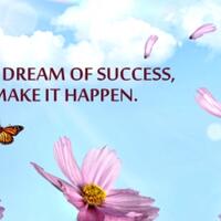 skyadmirer--no-bullshit-just-profit