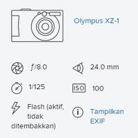 rumah-olympus---part-3