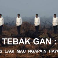 foto-sedih-presiden-jokowi-tembus-hutan-yang-hangus