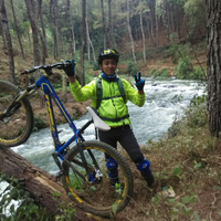 all-about-4x-four-cross