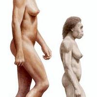 orang-pendek-sang-cryptid-dari-sumatera