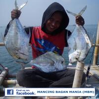 mancing-bagan-mania