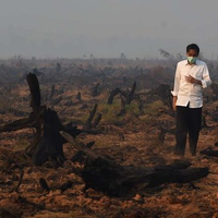 bar-sadar-terima-bantuan-singapura-alasan-jokowi-bukan-kebakaran-hutan-biasa