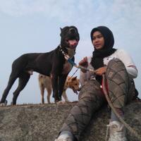 the-american-pitbull-lover039s---part-5