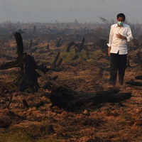 presiden-jokowi-targetkan-2-minggu-kabut-asap-beres