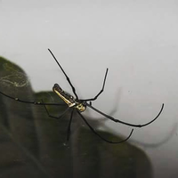 sf-photography-image--video-gallery-share-your-best-shot-here-read-1-post-first