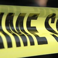 cystg-x-files--investigation